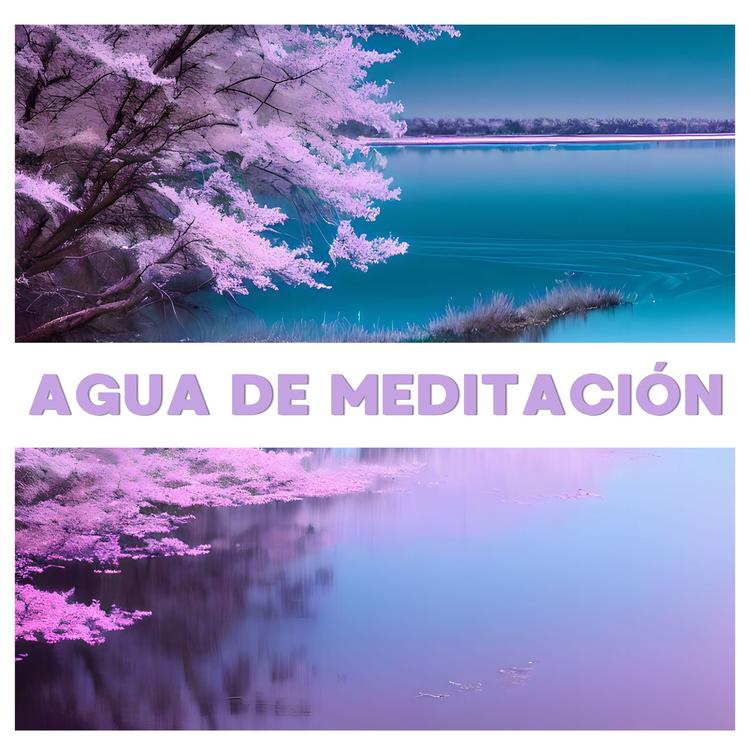 Meditando's avatar image