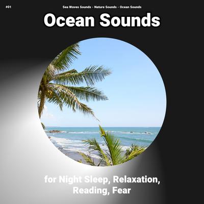 #01 Ocean Sounds for Night Sleep, Relaxation, Reading, Fear's cover