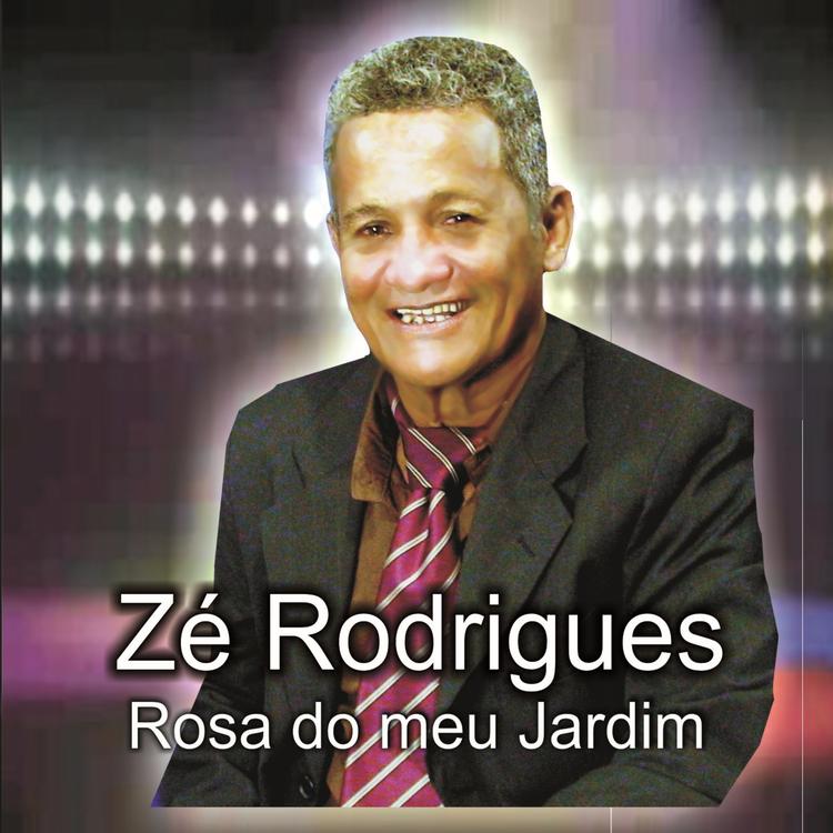 Ze Rodrigues's avatar image