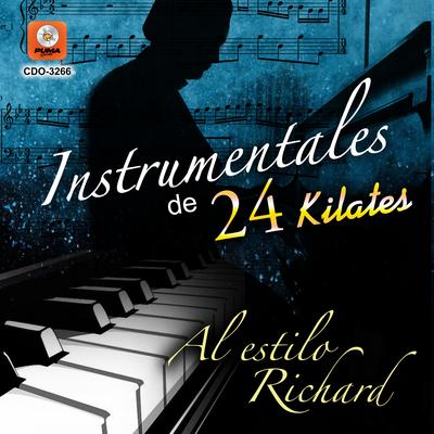 Instrumentales De 24 Kilates Al Estilo Richard's cover