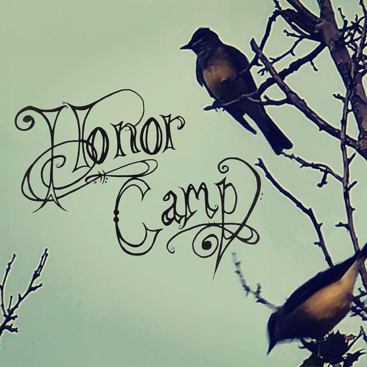 Honor Camp's avatar image