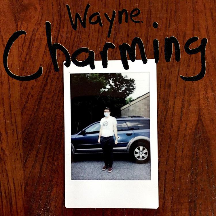 Wayne's avatar image