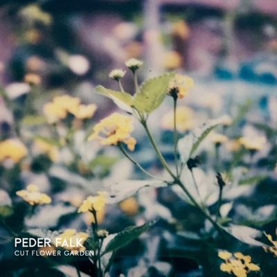 Cut Flower Garden By Peder Falk's cover