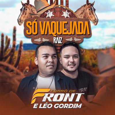 Só Vaquejada Raiz's cover