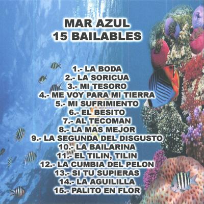 15 Bailables's cover