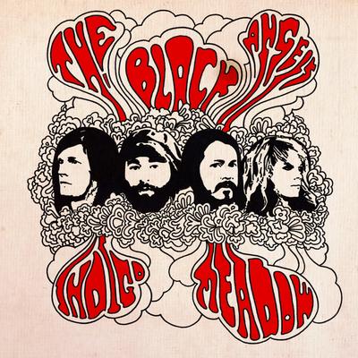 Indigo Meadow By The Black Angels's cover