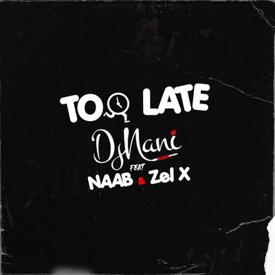 Too Late's cover