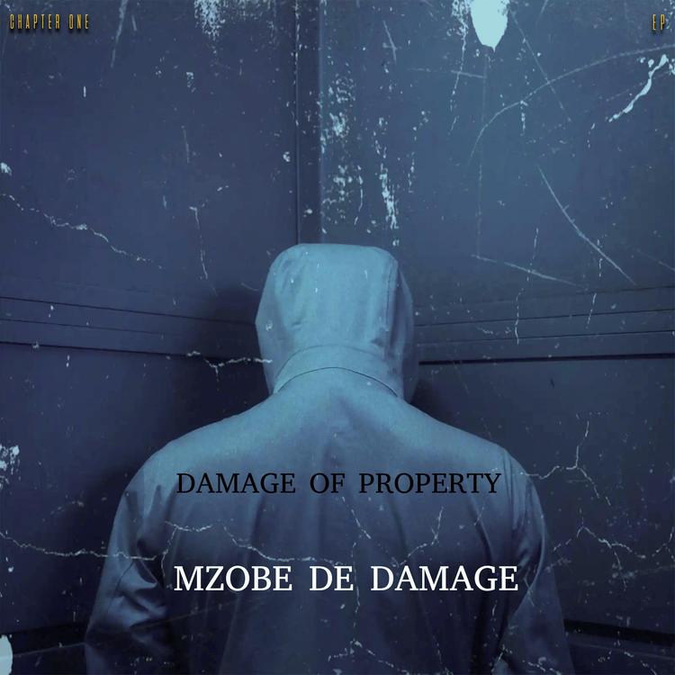 Mzobe De Damage's avatar image