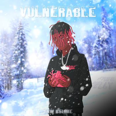 Vulnerable's cover