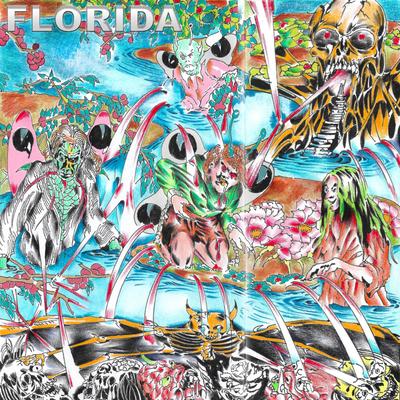 Florida's cover
