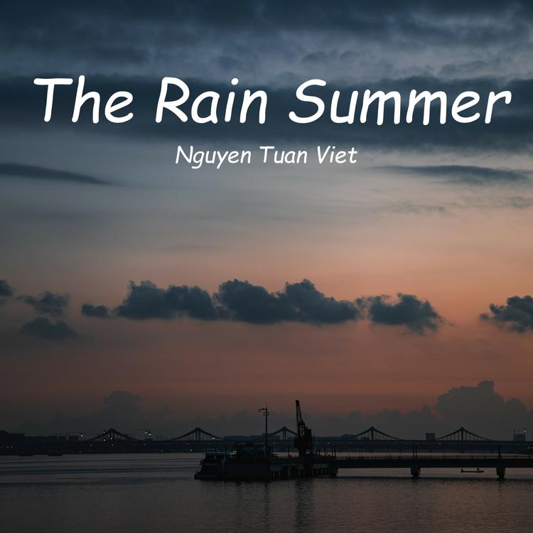 Nguyen Tuan Viet's avatar image