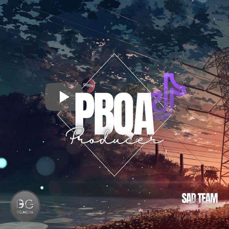 PBQA-never's avatar image