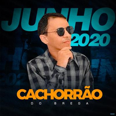 Fio de Cabelo By Cachorrão do Brega's cover
