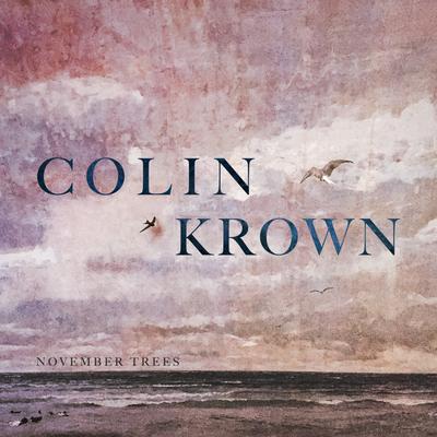 November Trees By Colin Krown's cover