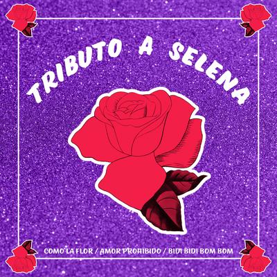 Tributo a Selena (Como la Flor / Amor Prohibido / Bidi Bidi Bom Bom)'s cover
