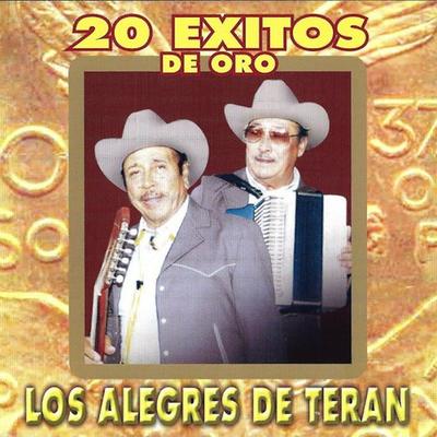 20 Exitos De Oro's cover