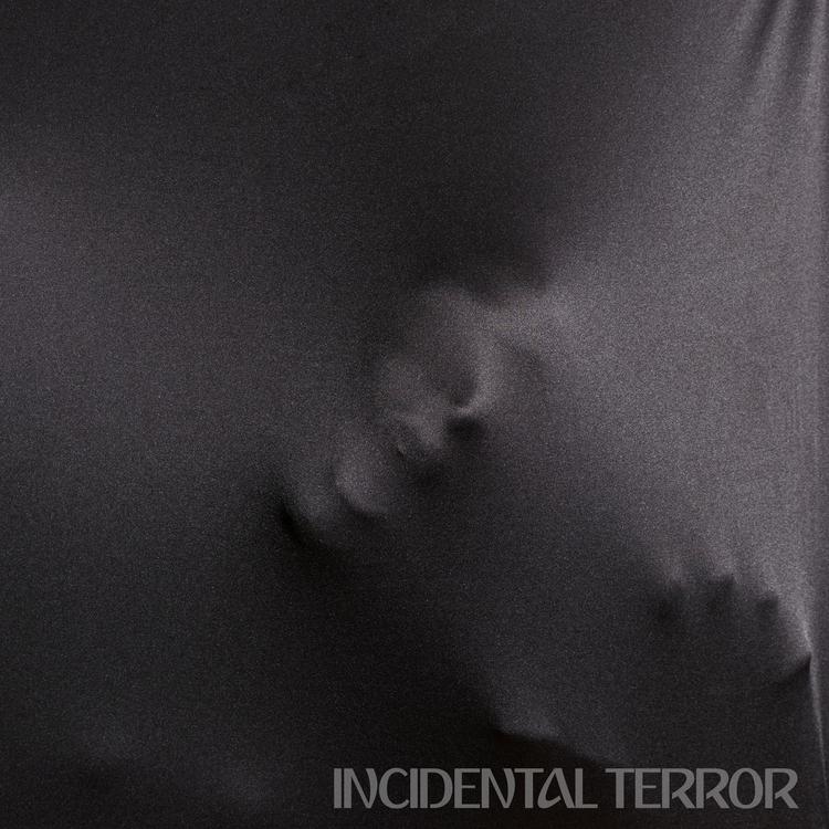 Incidental Terror's avatar image