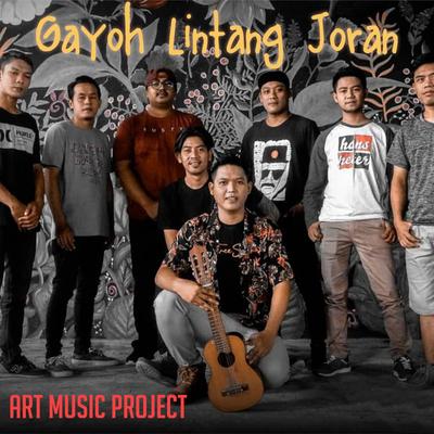 Art Music Project's cover