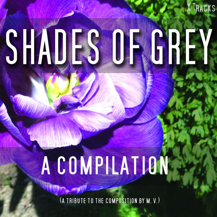 Shades of Grey - A Fifty Track Compilation's avatar image