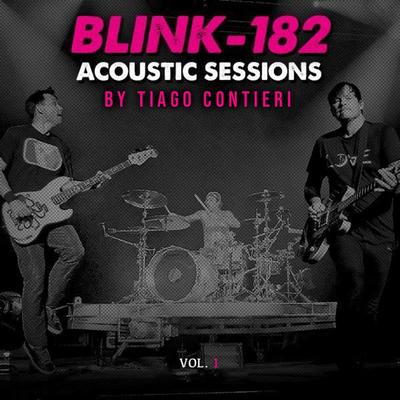 Blink-182 Acoustic Sessions's cover