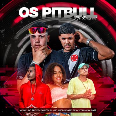 Os Pitbull do Pascoal (feat. Vitinho Na Base & mc bea)'s cover