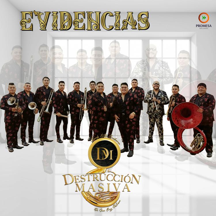 Banda Destrucción Masiva's avatar image