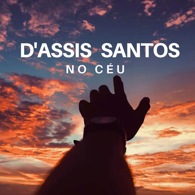 D'Assis Santos's avatar image