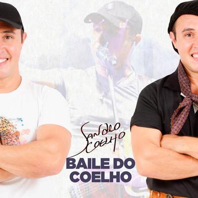 Baile do Coelho's cover