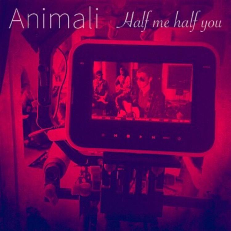Animali's avatar image