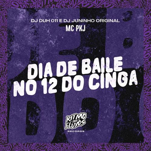 Galega do Jogo do Bicho - song and lyrics by Andinho Safadinho