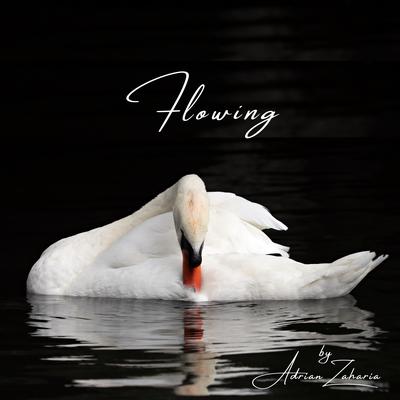 Flowing By Adrian Zaharia's cover