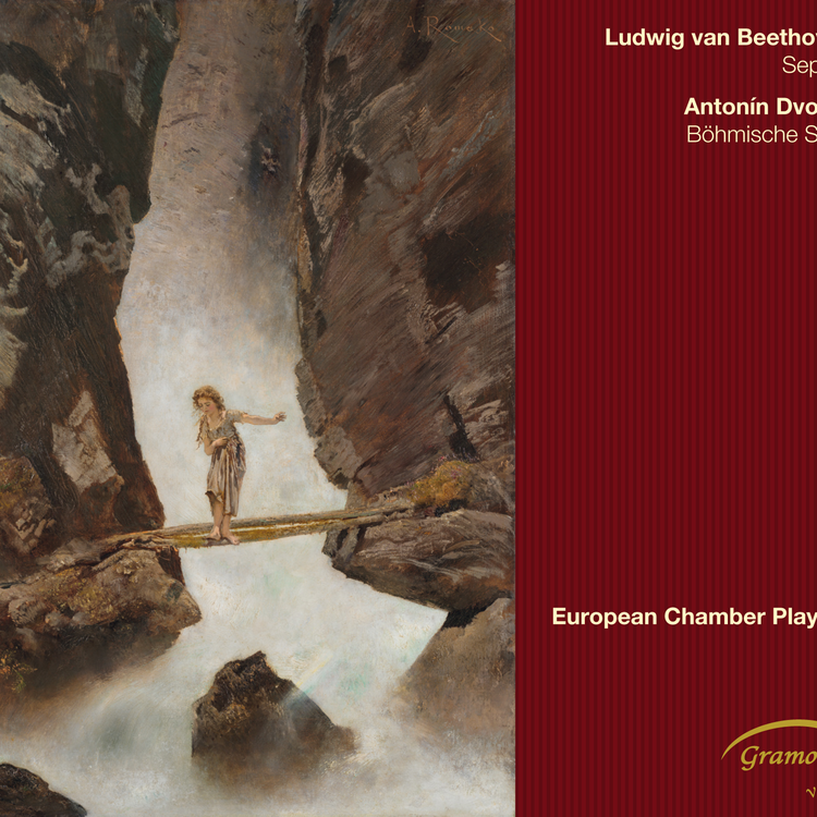 European Chamber Players's avatar image