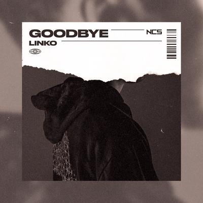 Goodbye By Linko's cover