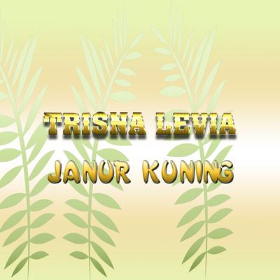 Janur Kuning's cover