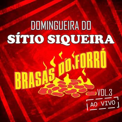 Casamento da Raposa (Ao Vivo) By Brasas Do Forró's cover