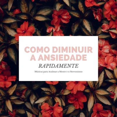 Como Diminuir a Ansiedade Rapidamente By Ananda Calma's cover