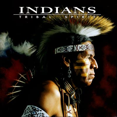 The Last Of The Mohicans By Indians's cover