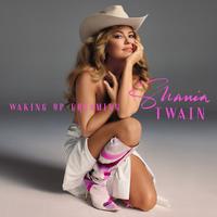 Shania Twain's avatar cover