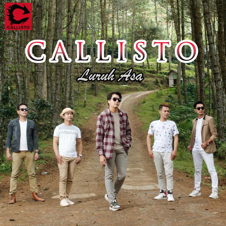 Callisto Band's avatar image