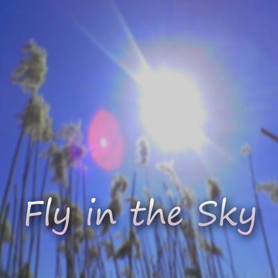 Fly in the Sky's cover