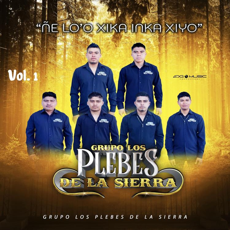 Grupo los Plebes de la Sierra's avatar image