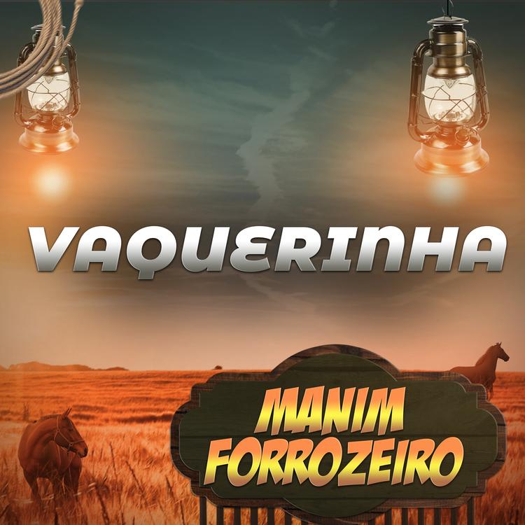 Manim Forrozeiro's avatar image