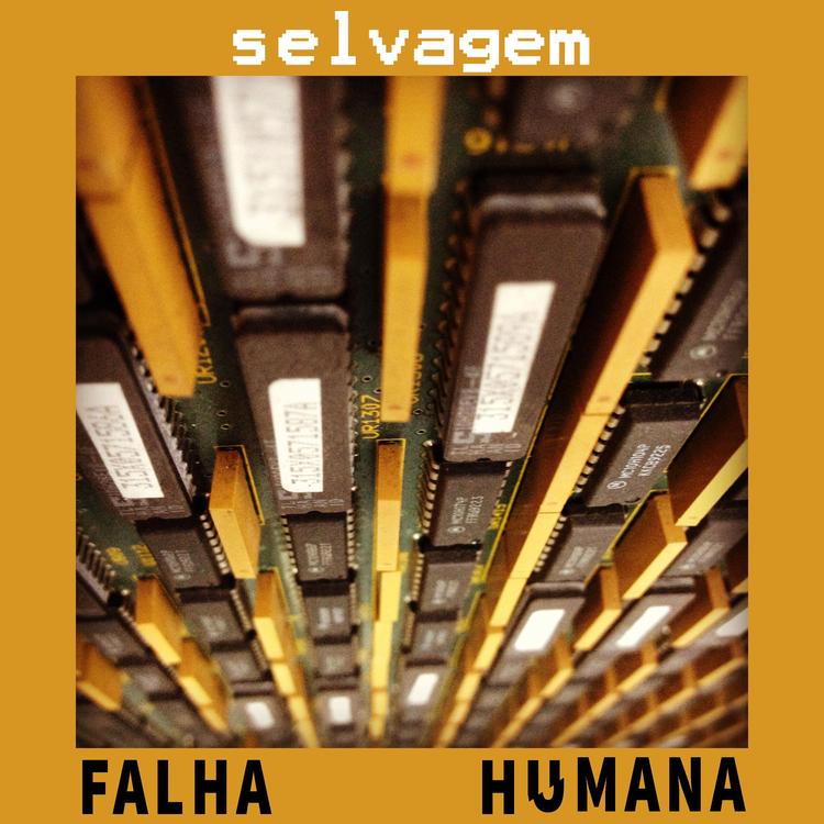 Falha Humana's avatar image