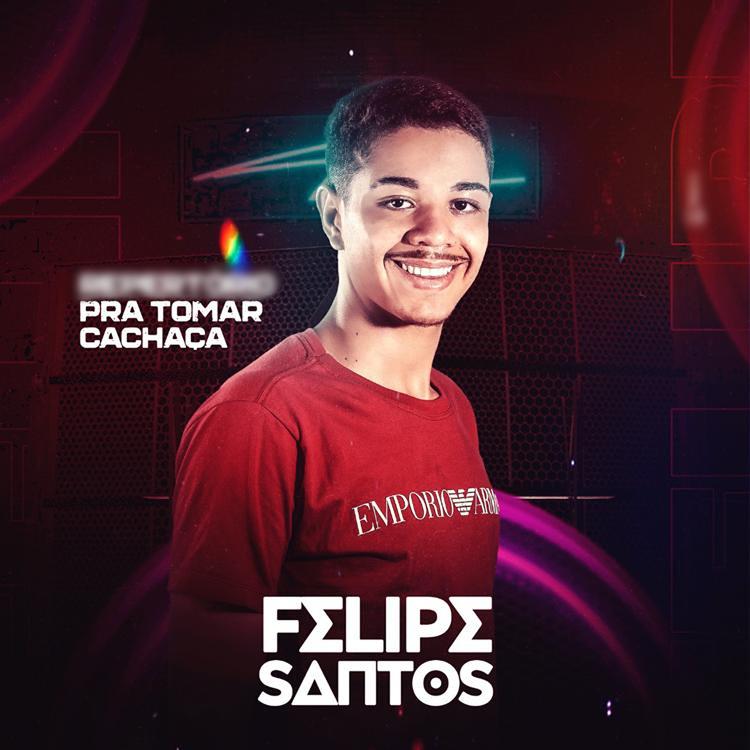 Felipe Santos's avatar image