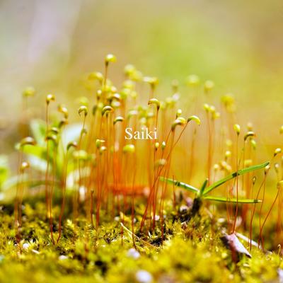 Saiki's cover