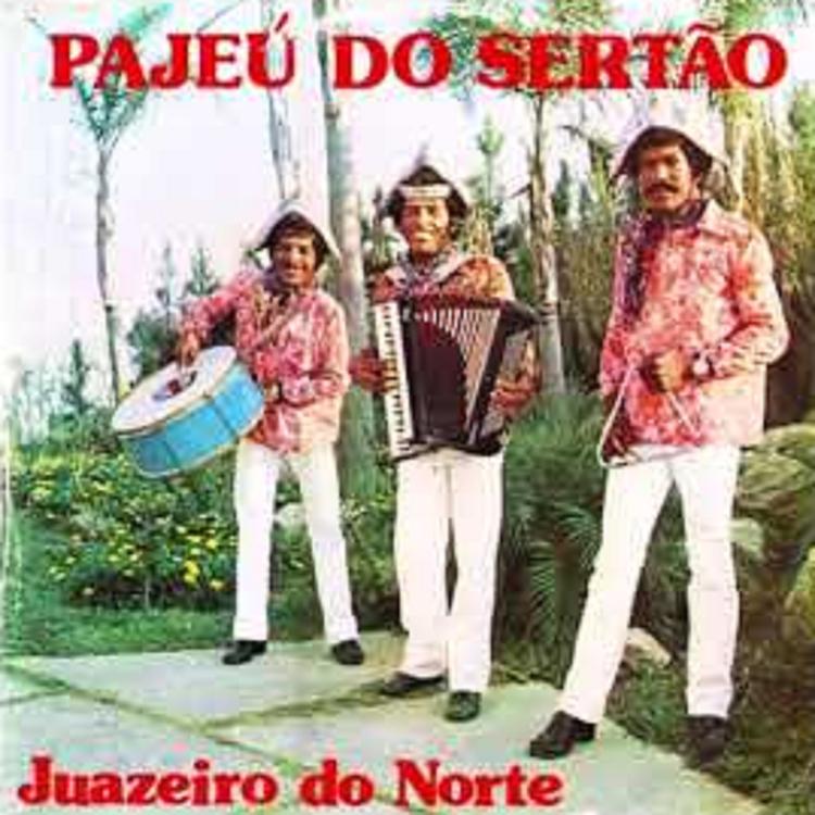 Pajeú do Sertão's avatar image