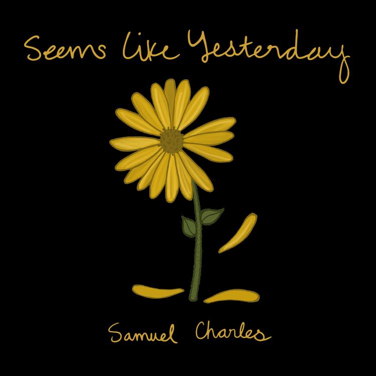 Samuel Charles's avatar image