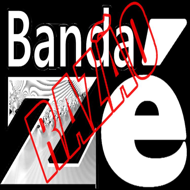 BANDA ZÉ's avatar image