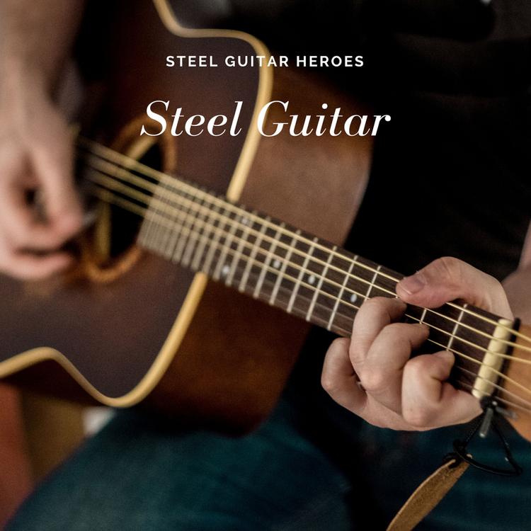 Steel Guitar Heroes's avatar image