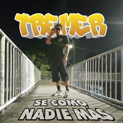 Se Como Nadie Más's cover